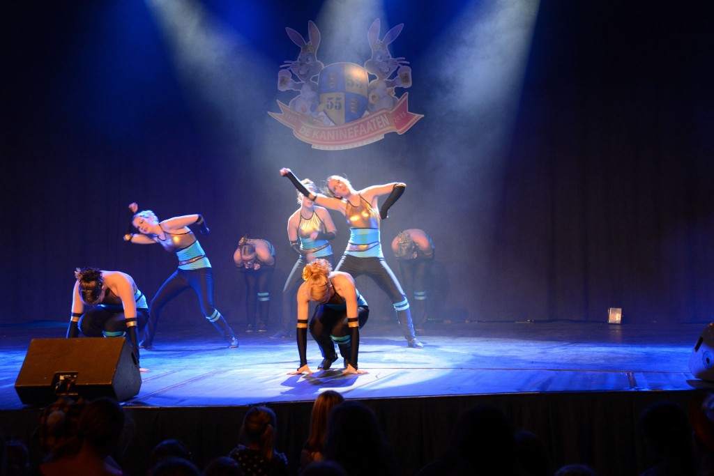 ../Images/Dansmarieke festival 2015 565.jpg